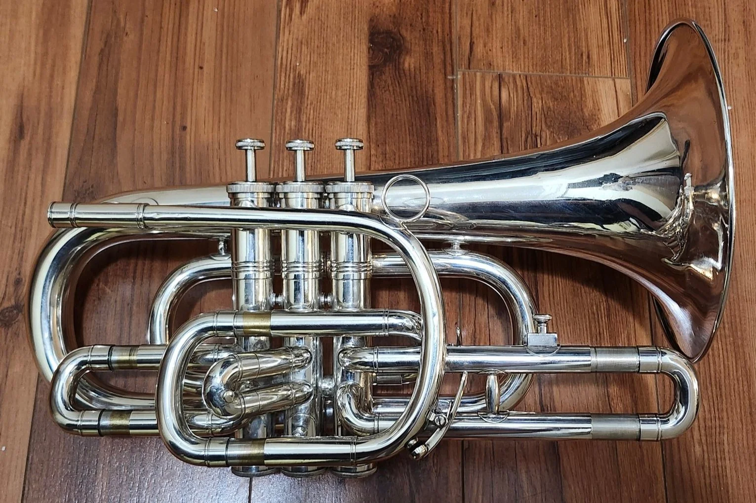 Alto Cornet — Tiffany Johns